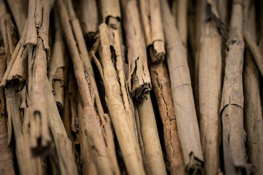 Cinnamon Sticks Photo by Uriel Soberanes on Unsplash