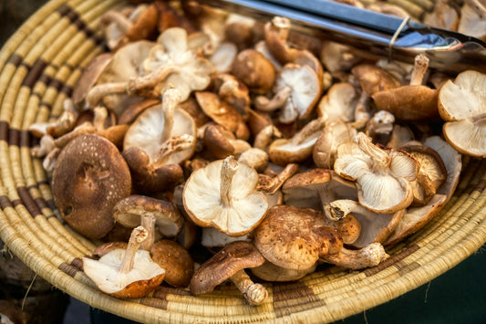 Shiitake Mushrooms Photo by Yuval Zukerman on Unsplash